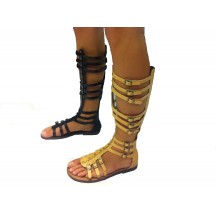 GLADIATOR 0019GMH